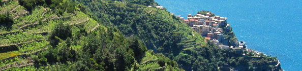 32_itinerari-Cinque-Terre.jpg
